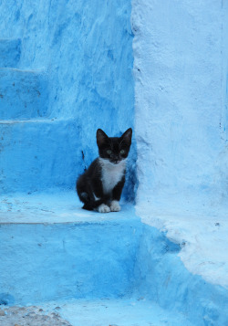 Chefchaouen or Chaouen is a city in northwest Morocco.  It is