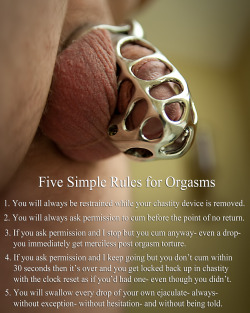 cuckoldsissybecka:  cuckhusb:  doasyouretold:  doasyouretold:  Five Simple Rules for his Orgasms  1. You will always be restrained while your chastity device is removed.2. You will always ask permission to cum before the point of no return.3. If you ask