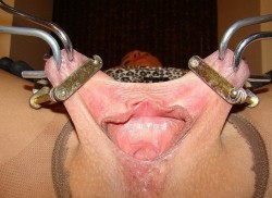 Clamps and hooks, pussy well spread.