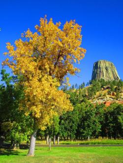 americasgreatoutdoors:  Happy 108th to America’s first National Monument, Devils Tower National Monument! On this day in 1906, President Theodore Roosevelt used the Antiquities Act to create the monument.Photo: C. Velasco 