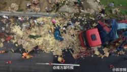 mousathe14:  theinturnetexplorer:  A truck carrying over 10,000 chicks overturned in China. The locals proceeded to take part in the cutest looting spree imaginable.  So yellow and fluffy! 