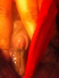 mrrozzay:  itslesbianfanatic:  pantiesallsowet:  My phat juicy pussy and ass in red lace panties 👅👅👅💦💦💦🍑🍑🍑 itslesbianfanatic   I’m dying to get my face between your legs mmm all that cum is gonna go to waste tonight  dam!!!