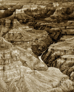 “Details” Grand Canyon National