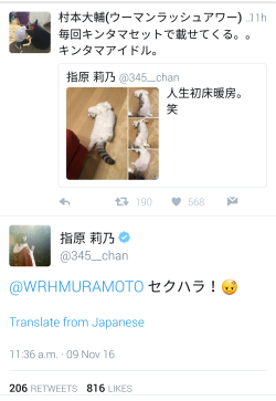 air-wotathekpopfan:  【Twitter】  Sasshi posts pictures of her cat.  Muramoto: Everytime the testicles get photographed… testicle idol  Sasshi: seku-hara!*  Muramoto spams the word ‘testicles’.  Sasshi: I hope you get dropped from AKBINGO  *seku-hara