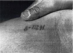 mianoti:  Auschwitz Tattoo. Number of Henry Oertelt B11291. Auschwitz was the only concentration or extermination camp to provide a tattoo on the arm for slave laborers. Other camps used numbers on uniforms. The Auschwitz system had separate numbering