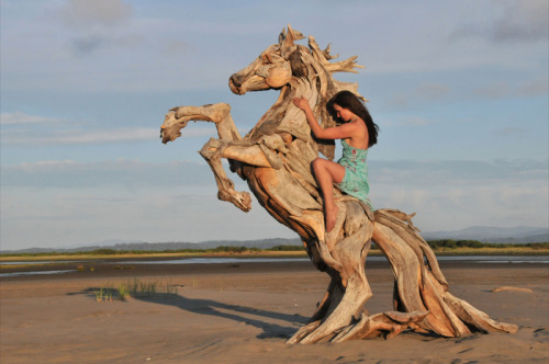 Wood sculpture (The Sea Horse & Driftwood Eagle) by Jeffro Ouitto