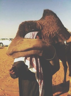 fierce-sultan:  eim3002:  After three mouths for selling it, a camel recognized his owner and trainer and hug him in a very touching moment .  Unconditional love 