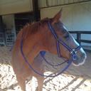 equine-awareness:  For barrel racers who say they have to have their shank bits, sharp spurs, whips, and need to ride aggressively to get their horse to co-operate and run the pattern: I present to you barrel racing in a bitless bridle with no whips,