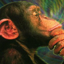 Talking Monkeys In Space: Alien Abductions Likely Are Vivid Dreams, Reports Sleep Study