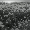 hiddenbyleaves:     Late Spring (1949, Yasujirô Ozu) In memory of Setsuko Hara (1920 - 2015)  