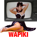 wapiki:  More video 
