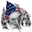theamericanpatriotpage:  Let’s Rock This!~ The Wolfdragon 