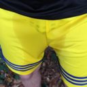 wetdude792:Peed my overall shorts @mikisit