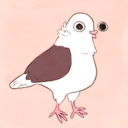 tinysaurus-rex:We Bare Bears is the best cartoon currently airing because of their superior pigeon inclusion. show the pigeons!