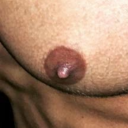 nipplepigs:  Brasilian guys into mutual nipple
