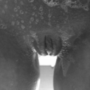 My throat automatically salivates at the sight of an anonymous real man sized cock sliding through the glory hole knowing the cock is just there to dump a load of cum in my mouth *giggle*