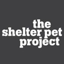 shelterpetproject:Bella has been waiting for a home since JULY 