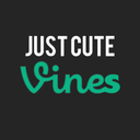 justcutevines:  Awh she got her head stuck For the cutest vines on Tumblr follow JustCuteVines   silly ferret x3