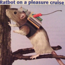 ratbot on a pleasure cruise