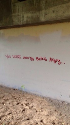 graffquotes:  You waste energy being angry…