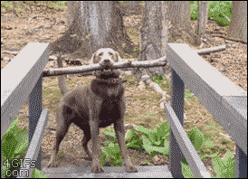 4gifs:  This is the best stick. Have to find