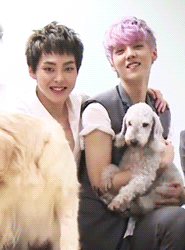 eattweetpost:  I pronounce you husband and wife ( ´▽｀)  And their baby (the dog)