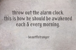 Eyesforeverblue:  An Absolute Truth  Would Love This Alarm ;)