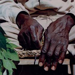 Hands Of The Old Straw Weaver,St. Croix, Virgin Islands. 1970.Photography By Fritz