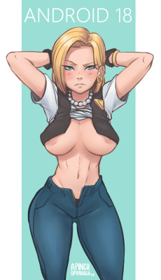 apinchofvanilla: Have the wife, Android 18 ;9