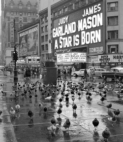 :  Times Square. Photographed by Frank Larson. (1954) 