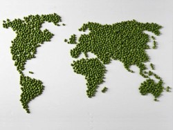 World peas if you please