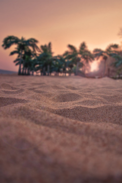 morrawr:  Sand is beautiful.  