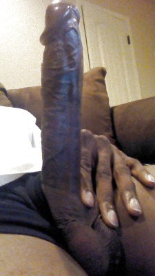 PRAISE BIG BLACK PENIS! mcaval12:  Follow my Blog:  http://mcaval12.tumblr.com/  Over 10,000 pics and vids of Beautiful Black Dick submit your pic here   http://mcaval12.tumblr.com/submit Reblog me !  His cock takes up my entire 50 inch TV lol  