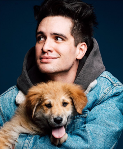 actualbrendonurie: Brendon Urie by Taylor Miller  