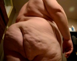 lardfill:  My ass is nearly the size of my belly - almost balanced front and back fat. From a new video on http://clips4sale.com/62635    Inspiring