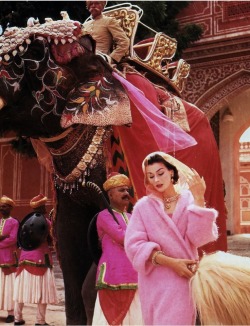 Supermodelgif:  Anne Gunning In A Pink Mohair Coat Outside The City Palace, Jaipur,