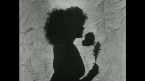 Meshes of the afternoon - Directed by Maya Deren (1943) Nudes &amp; Noises  