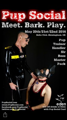 handlerdean:  Check out the new poster pair for @pupsocial ,myself and @puppy-apollo  You two are so cute. Love the looks you&rsquo;re giving each other!