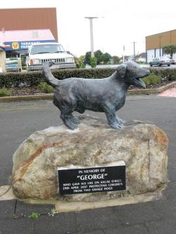 gauntletspirit: moonxtal:  catchymemes:  This was George. He was a 9 year old Jack Russell who lived in the small town of Manaia, New Zealand. On April 29, 2007 he jumped into a losing fight with two Pit Bulls to protect two young children. According