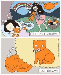 catversushuman:  Maybe it’s why my cat drools on me when she sleeps.