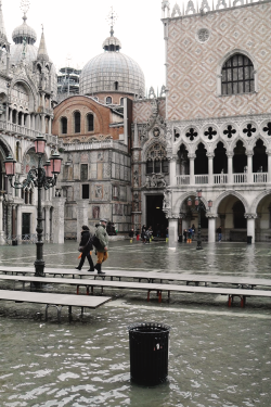 reals:  Downtown Venice | Photographer  
