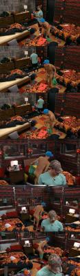 Frankie changing (again)