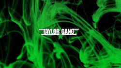 taylor gang or die