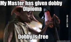 foxicology:submitted by ackergayit’s so true bc a diploma is literally the equivalent of a dirty sock