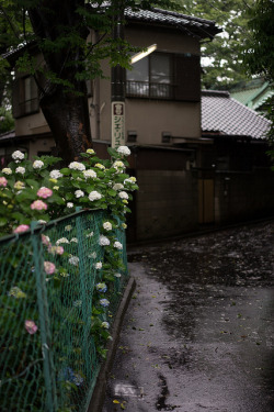 fuckyeahjapanandkorea:  rainy season #2 by ubic from tokyo  