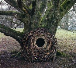 dobby-step:  coastal-collision:  lissycposts:  Andy Goldsworthy’s art  Ψ  The first one looks like it’s from true detective 
