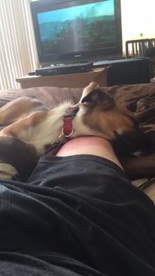 Leg is killing me and she&rsquo;s getting away with using it as a pillow&hellip; You&rsquo;re lucky I love you freya you adorable little shit