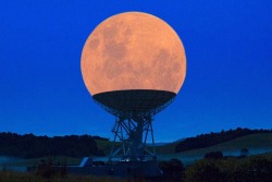 thingsfittingperfectly:  The super moon on a radio receiver dish 