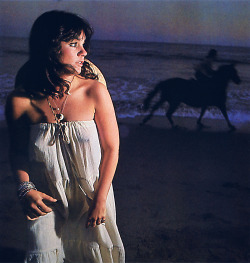 20th-century-man:  Linda Ronstadt; photo by Ethan Russell. LInda said, “Don’t shoot. You’ll scare the horse,” seconds before Ethan Russell shot what became the cover of Hasten Down the Wind (1976). The horse was not planned.  One of my all time