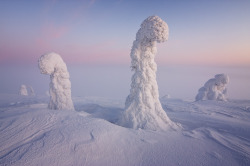 mothernaturenetwork:  &lsquo;Sleeping&rsquo; trees stand guard over the ArcticPhotographer Niccolo Bonfadini captures the essence of a sub-zero winter in Finnish Lapland with this stunning photo of trees covered in thick layers of ice and snow. 
